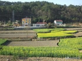 农村宅基地管理进一步加强，这3类人不得申请宅基地 